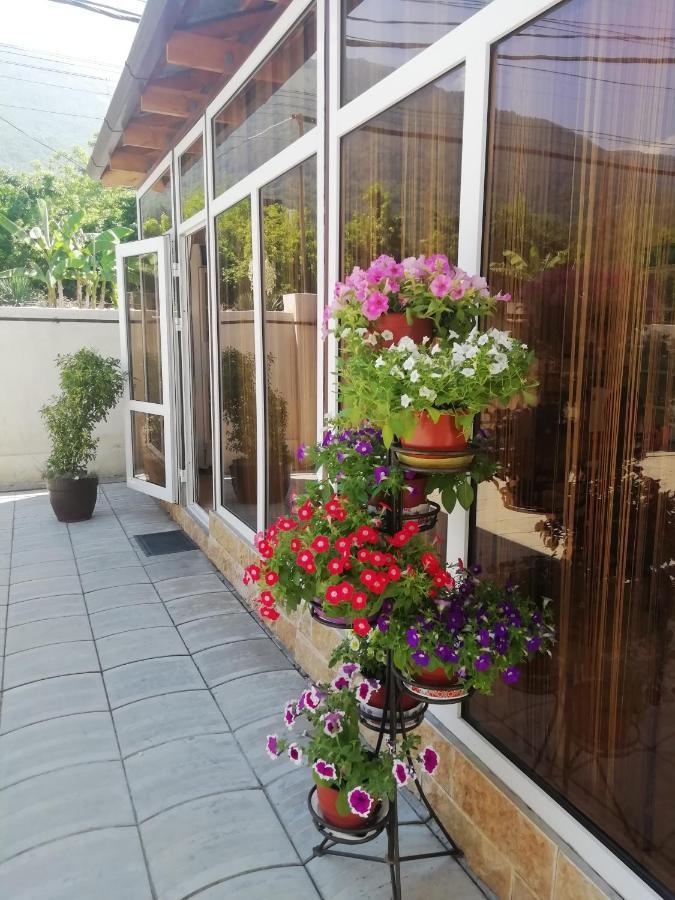 Mini-Hotel Yanson 2 Gagra Exterior photo